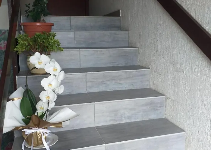 And Rakic Apartman Mali Lošinj