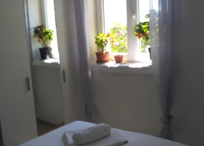 And Rakic Mali Lošinj