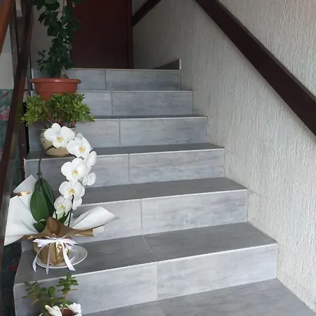 And Rakic Apartmán Mali Lošinj